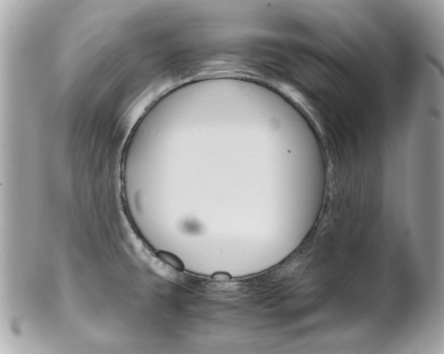 X0000102011431200807180901