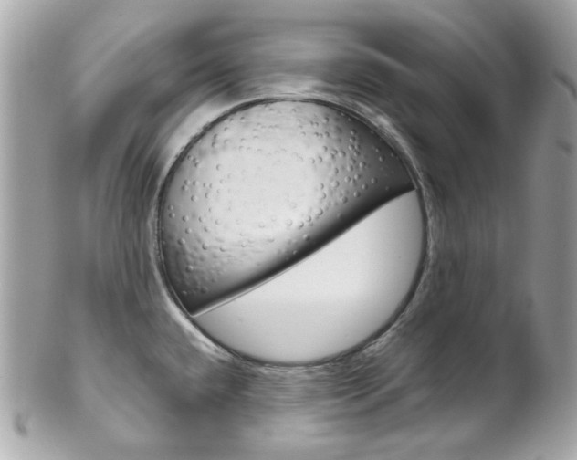 X0000102011432200807180901