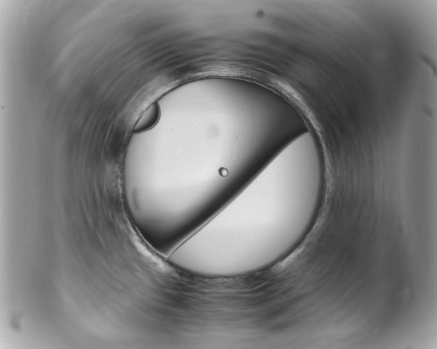 X0000102011433200807180901
