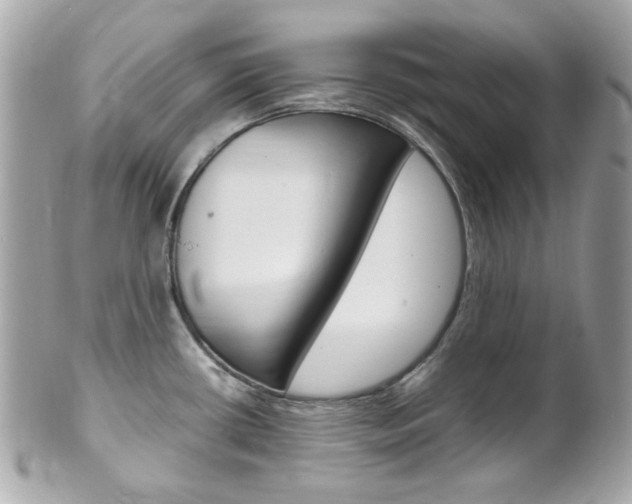 X0000102011434200807180901