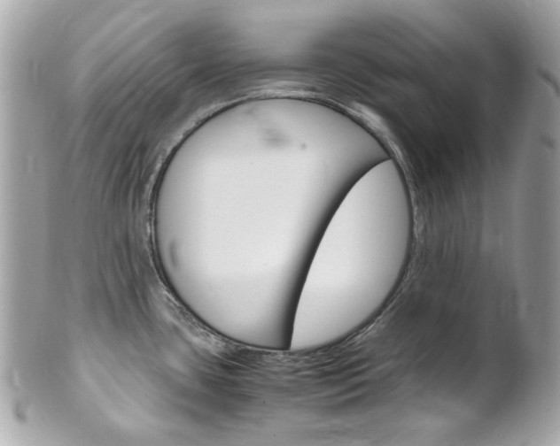 X0000102011435200807180901