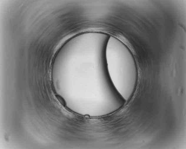 X0000102011436200807180901