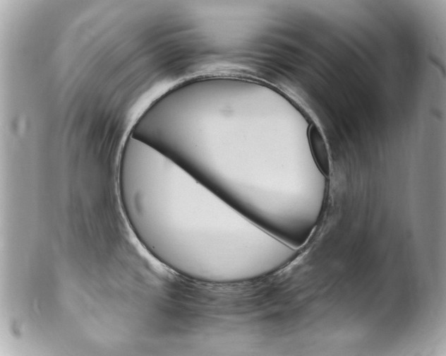 X0000102011437200807180901