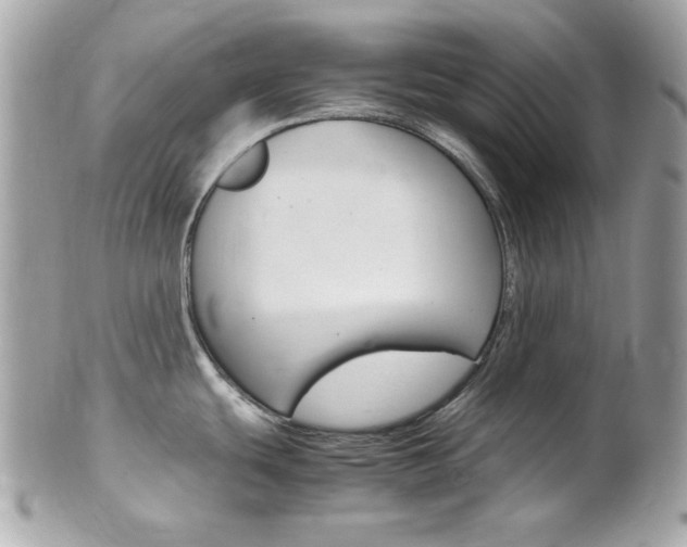 X0000102011439200807180901