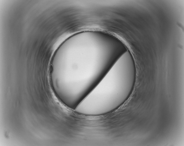 X0000102011440200807180901