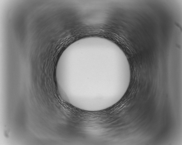 X0000102011441200807180900