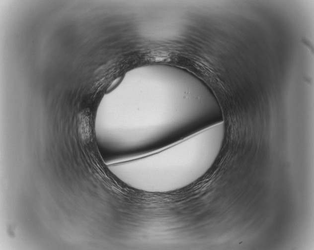 X0000102011442200807180900