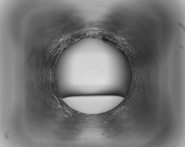 X0000102011445200807180900