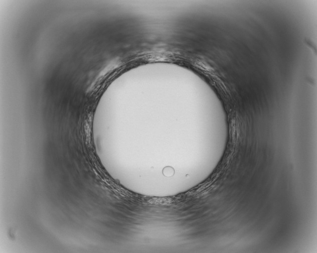 X0000102011446200807180900