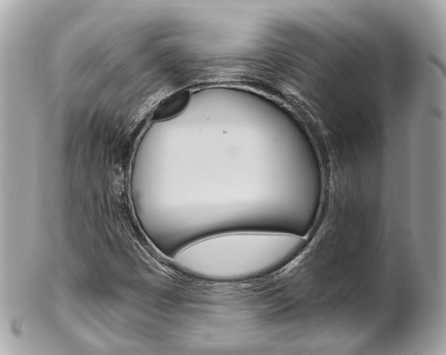 X0000102011449200807180900