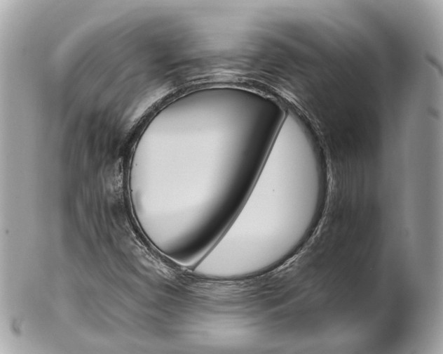 X0000102011450200807180900