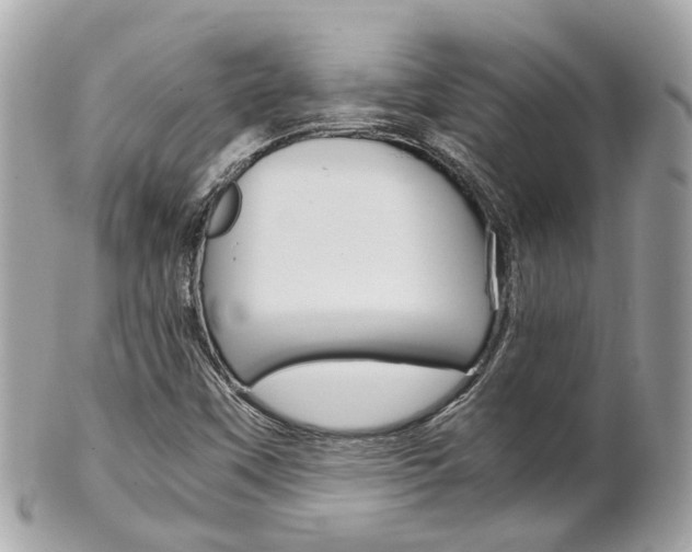 X0000102011451200807180900
