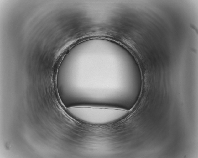 X0000102011452200807180900