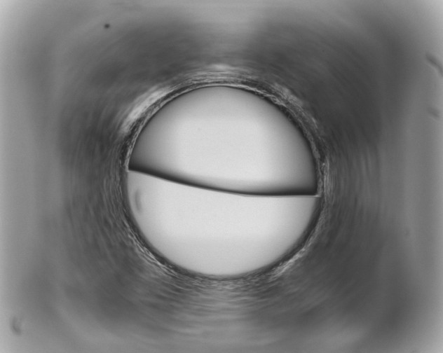 X0000102011453200807180900