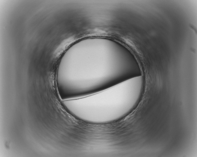 X0000102011455200807180900