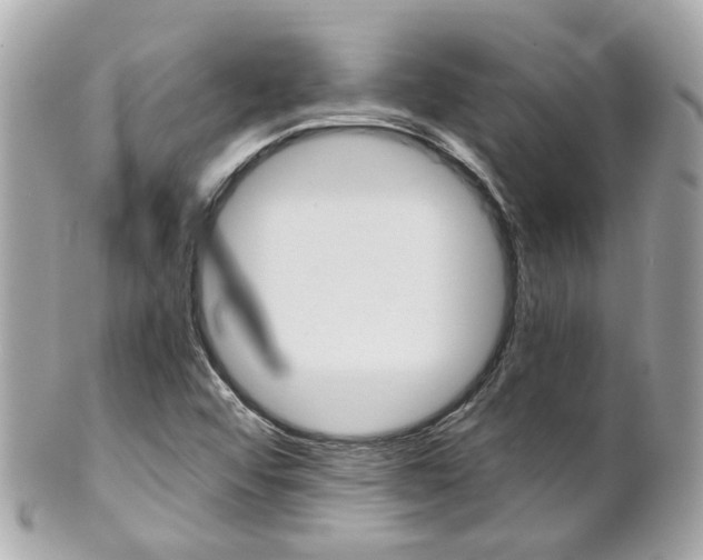 X0000102011456200807180900
