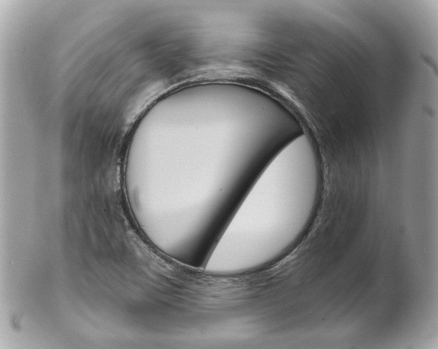 X0000102011459200807180900