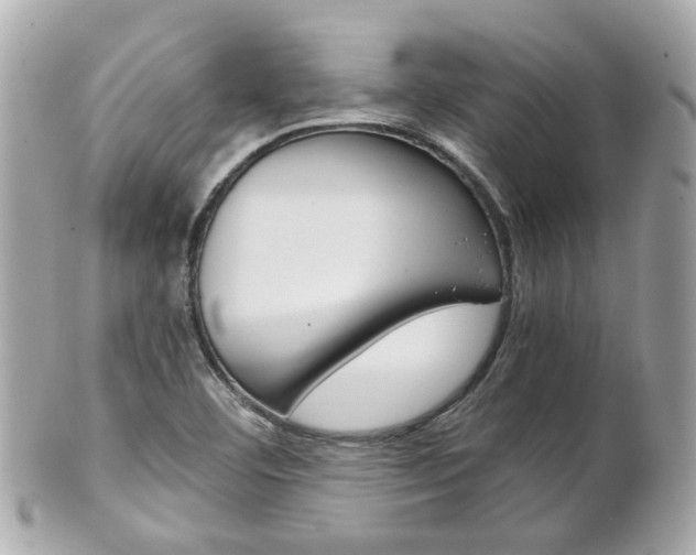 X0000102011460200807180900