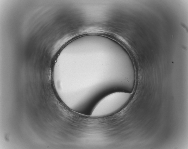 X0000102011461200807180900