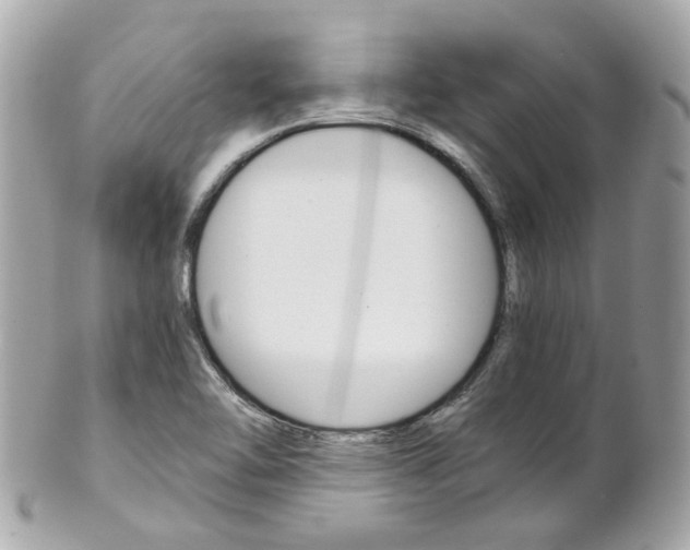 X0000102011462200807180900