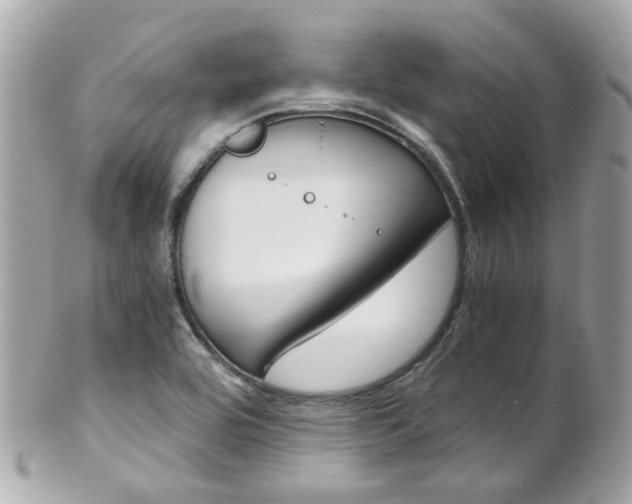 X0000102011464200807180900