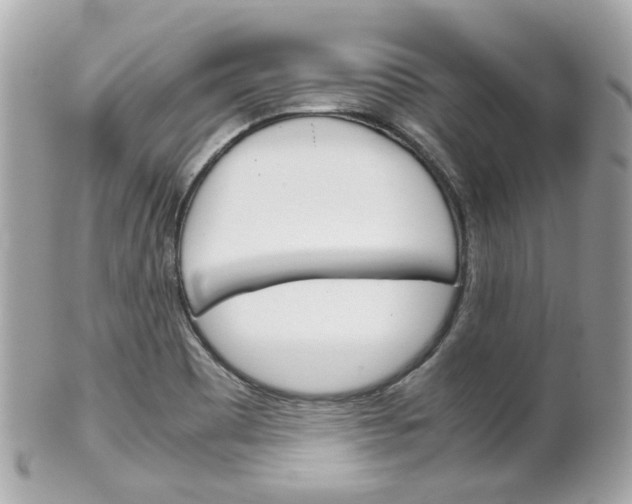 X0000102011465200807180900
