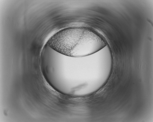 X0000102011467200807180900