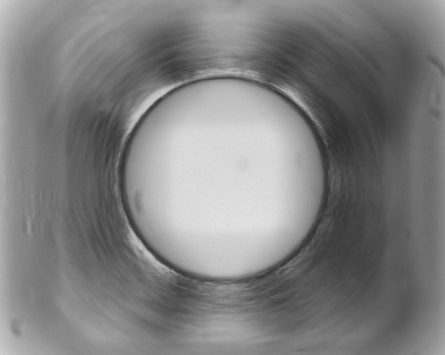 X0000102011468200807180900