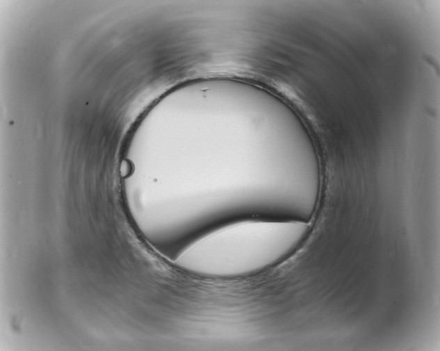 X0000102011469200807180900