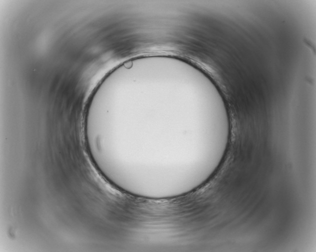 X0000102011470200807180900
