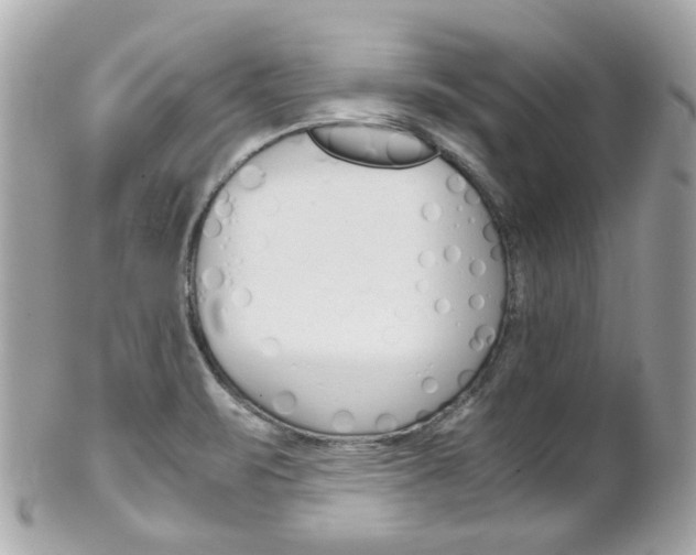 X0000102011471200807180900
