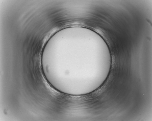 X0000102011474200807180900