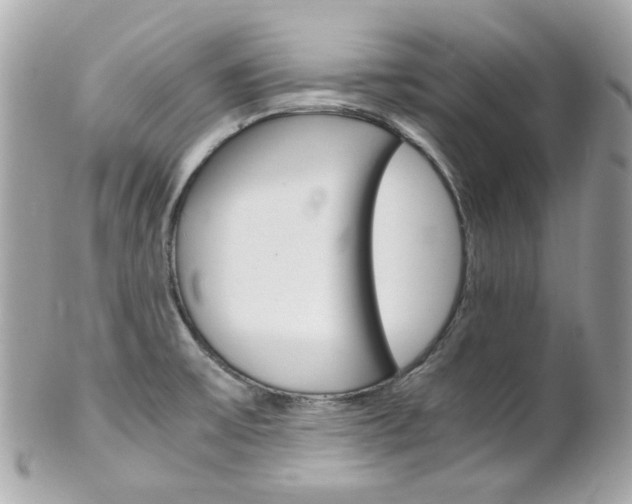 X0000102011475200807180900