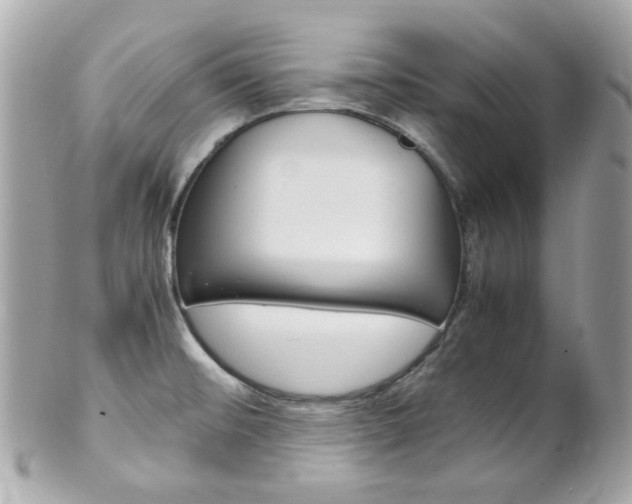 X0000102011476200807180900
