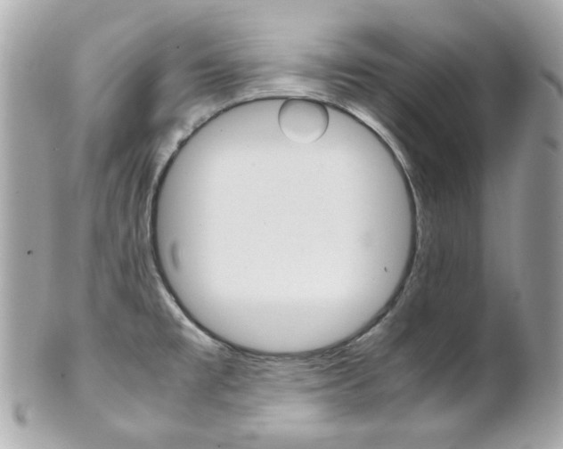 X0000102011477200807180900