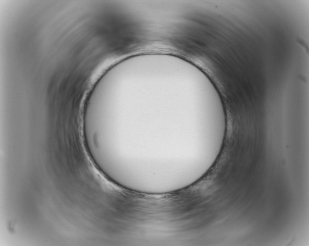 X0000102011478200807180900
