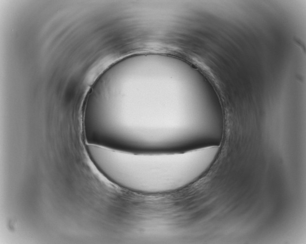 X0000102011479200807180900
