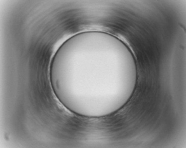 X0000102011480200807180900