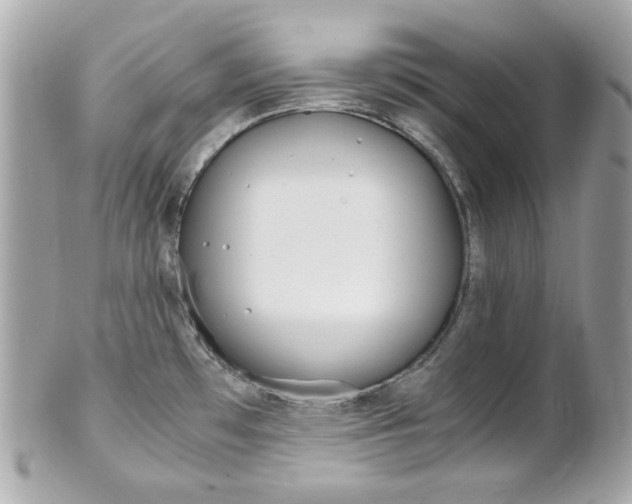 X0000102011481200807180900