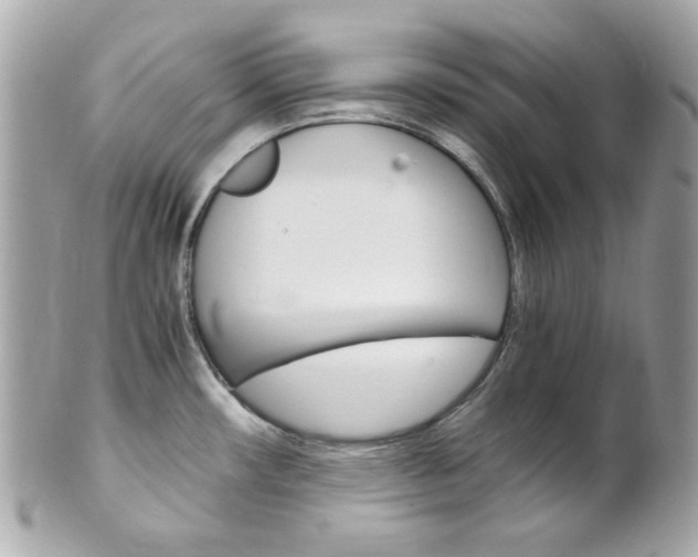 X0000102011482200807180900