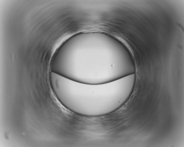 X0000102011485200807180900