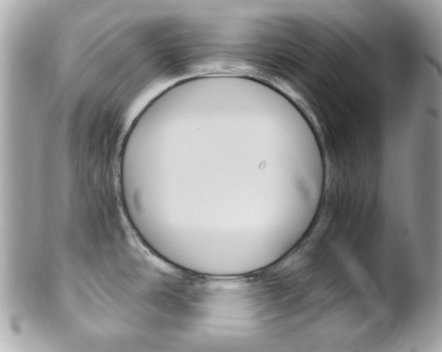 X0000102011486200807180900