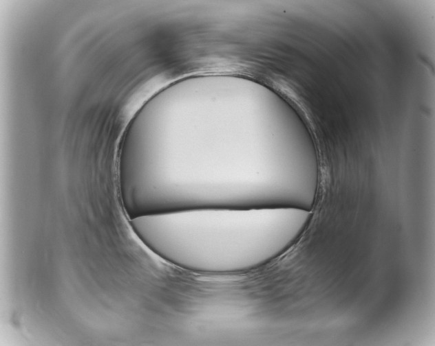 X0000102011487200807180900