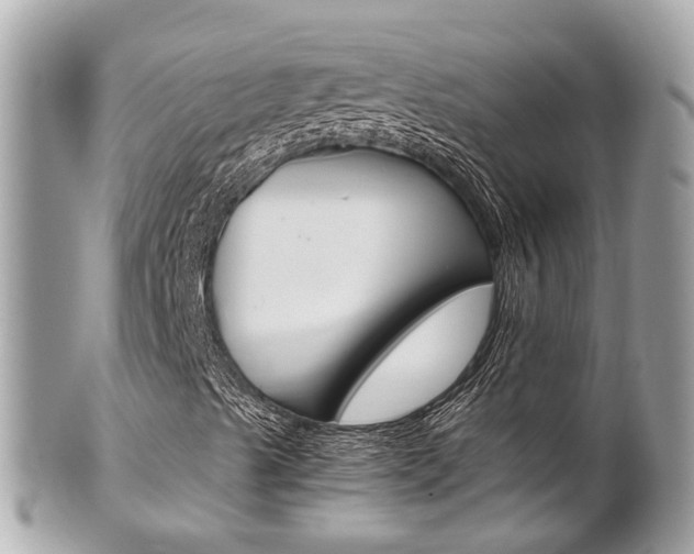 X0000102011489200807180859