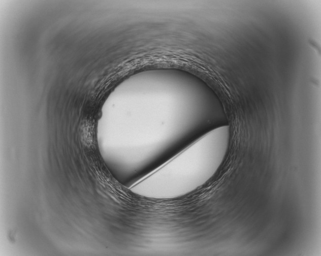 X0000102011490200807180859