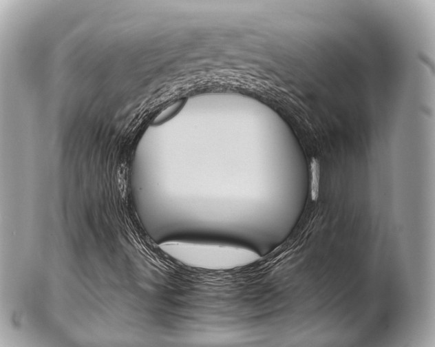 X0000102011491200807180859