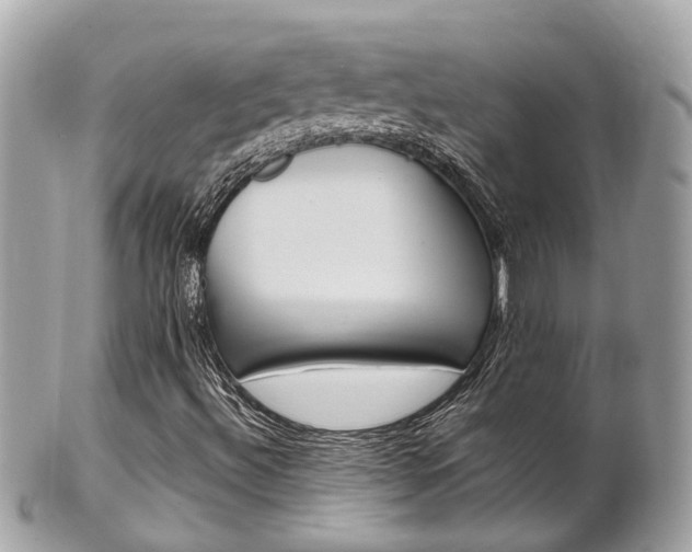 X0000102011492200807180859