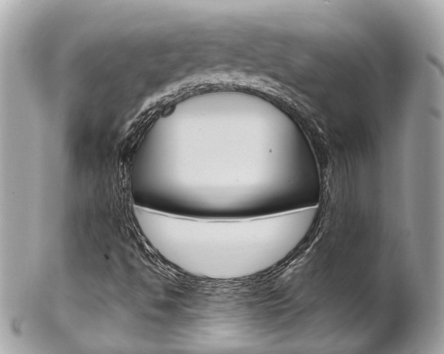 X0000102011494200807180859
