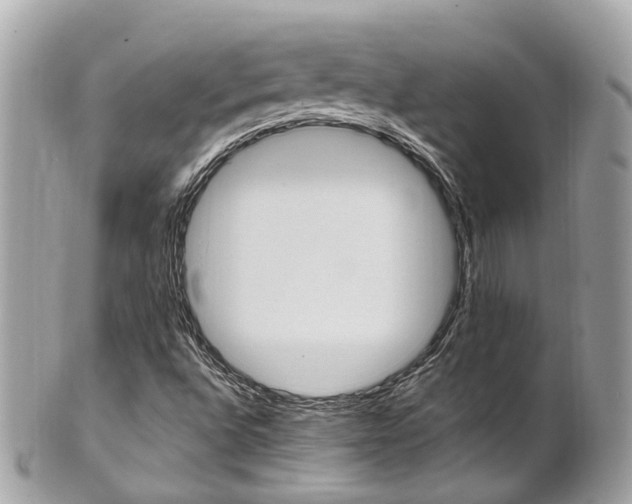 X0000102011496200807180859