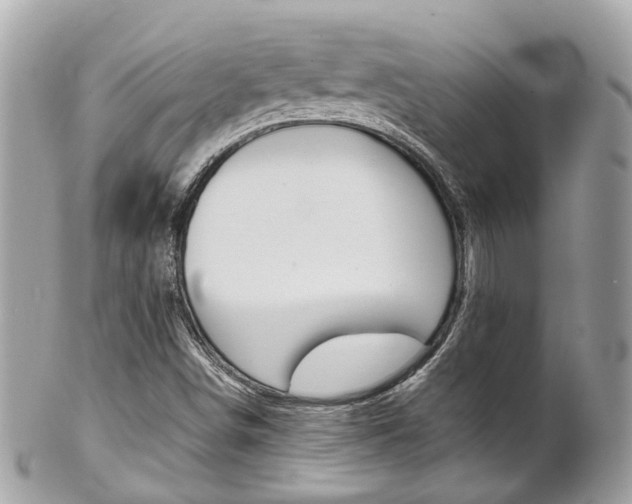 X0000102011498200807180859